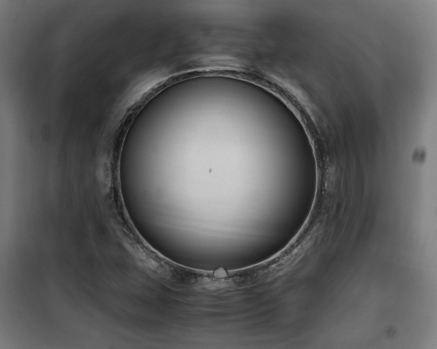 X0000100191407200805301237