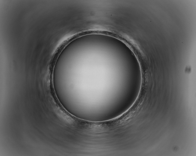 X0000100191408200805301237