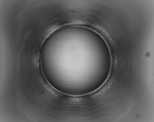X0000100191409200805301237