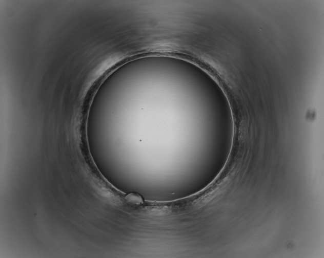 X0000100191410200805301237