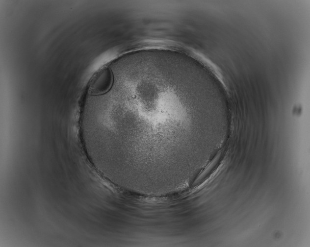 X0000100191411200805301237