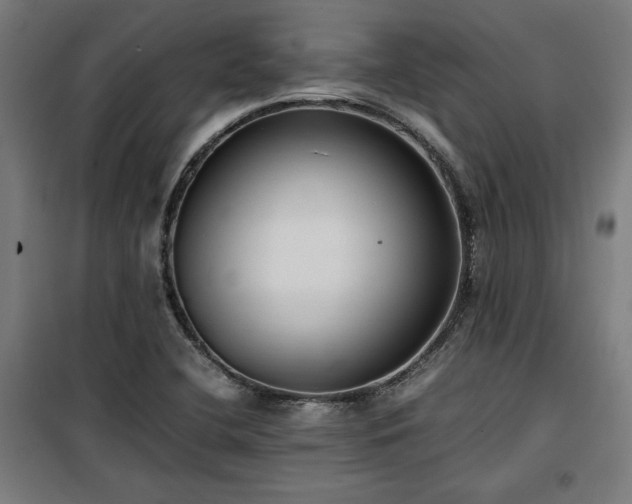 X0000100191412200805301237
