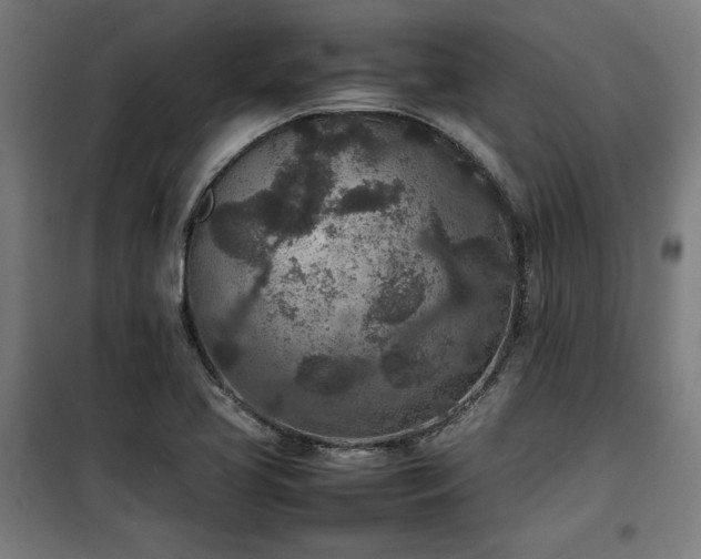 X0000100191413200805301237