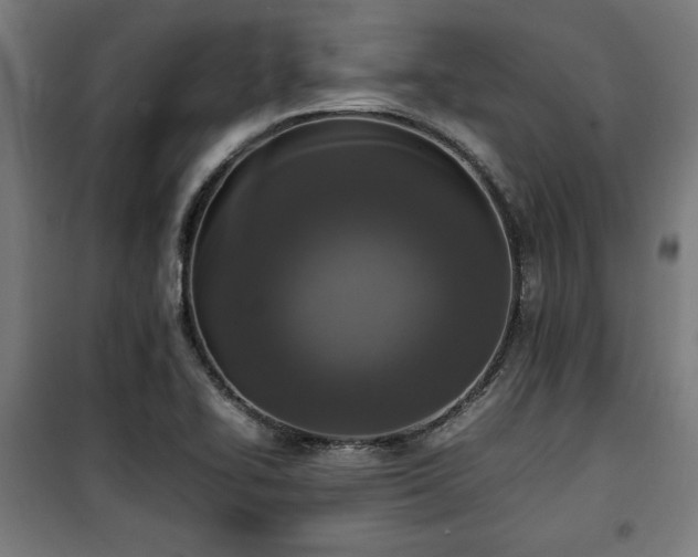 X0000100191414200805301237