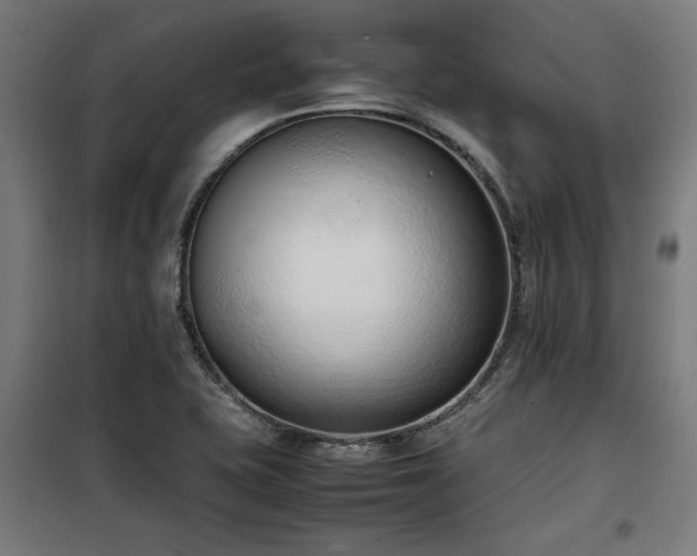 X0000100191415200805301237