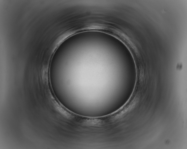 X0000100191417200805301237