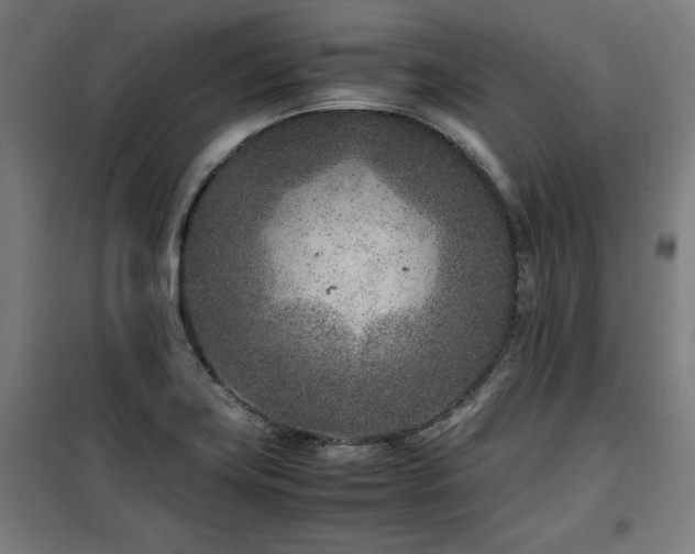 X0000100191419200805301237