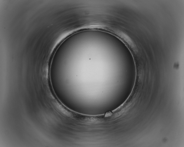 X0000100191420200805301237