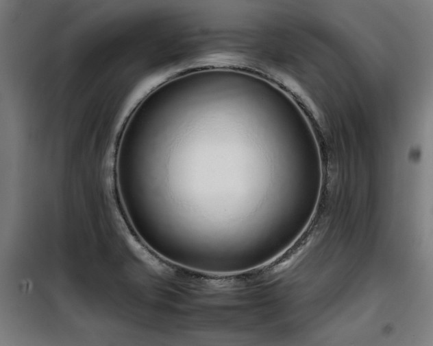 X0000100191421200805301237
