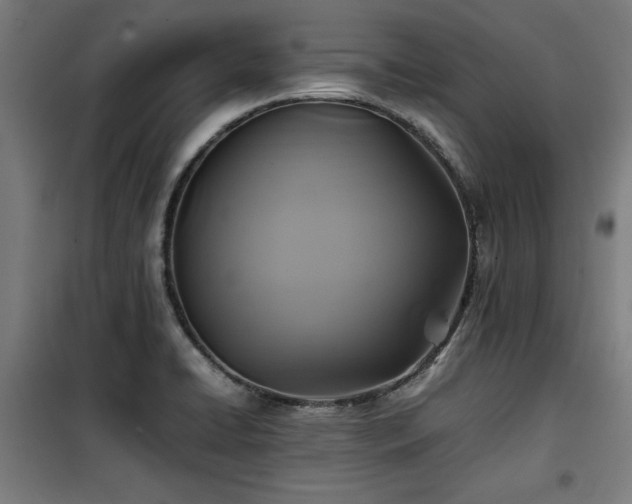 X0000100191422200805301237