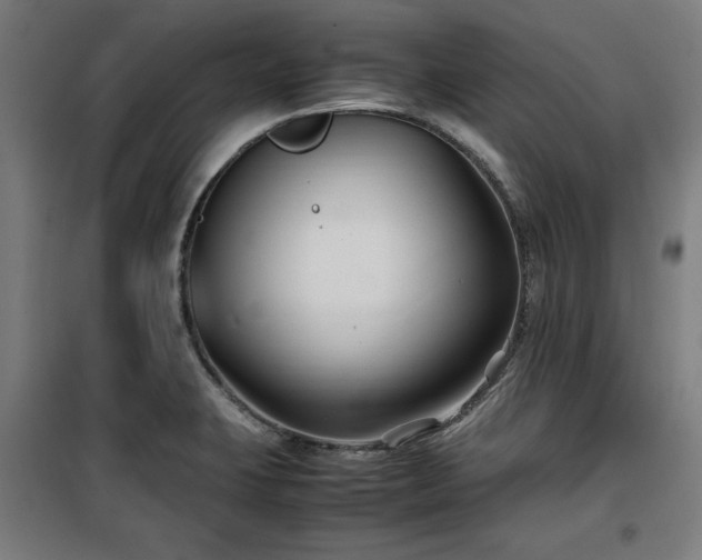 X0000100191423200805301237