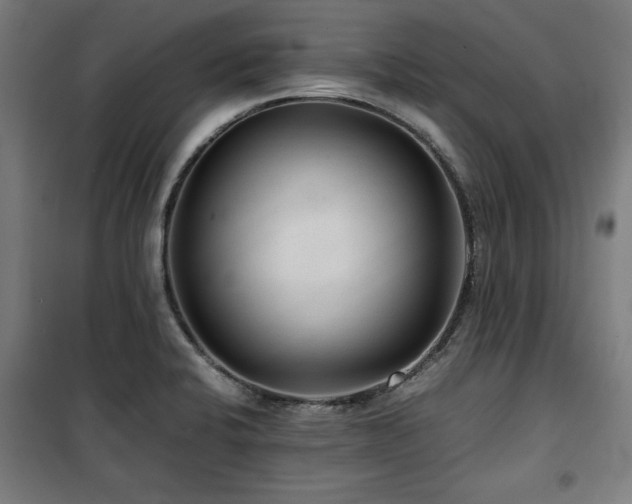 X0000100191424200805301238