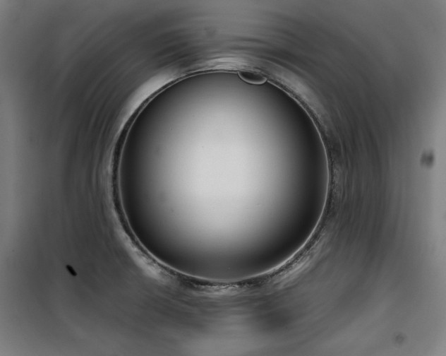 X0000100191426200805301238
