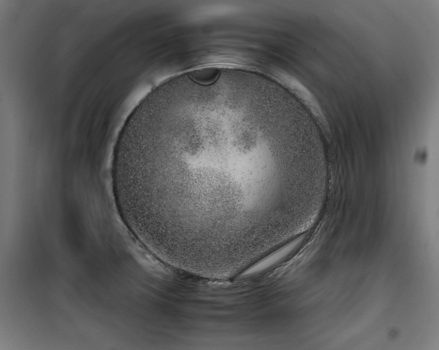 X0000100191427200805301238