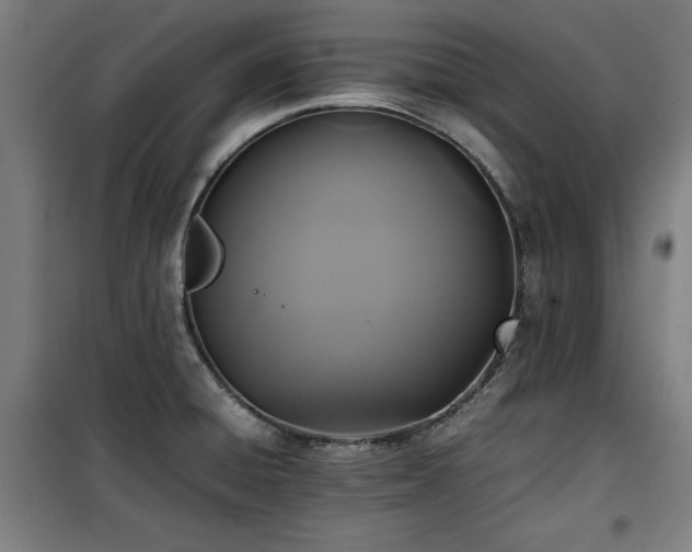 X0000100191428200805301238