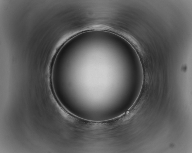 X0000100191430200805301238