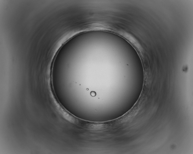 X0000100191431200805301238