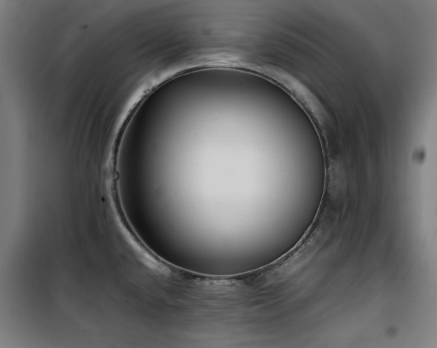 X0000100191432200805301238