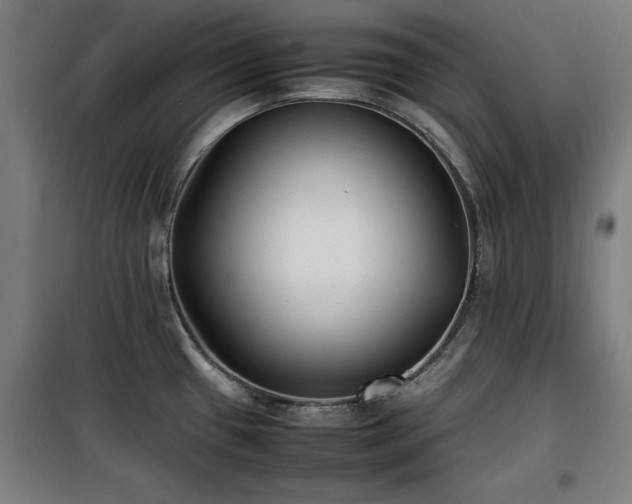 X0000100191433200805301238