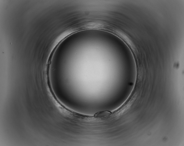 X0000100191434200805301238