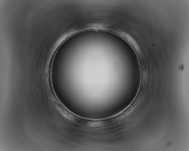 X0000100191435200805301238