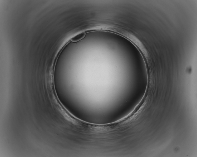 X0000100191436200805301238