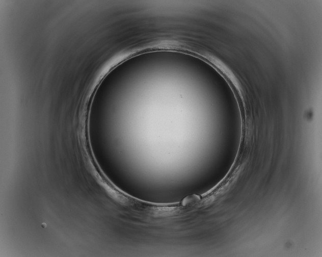 X0000100191437200805301238