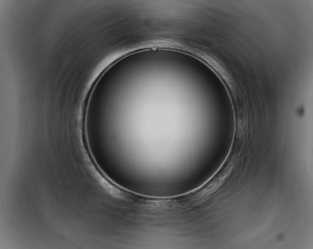 X0000100191438200805301238