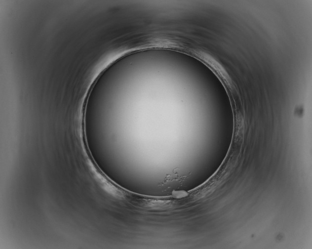 X0000100191439200805301238