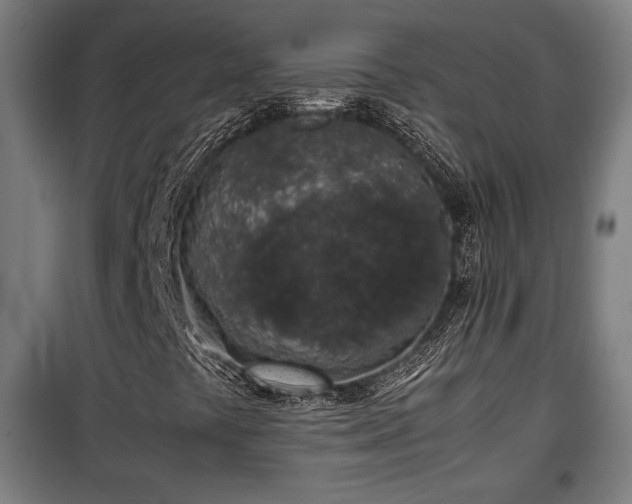 X0000100191441200805301237