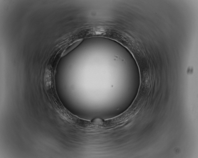 X0000100191442200805301237