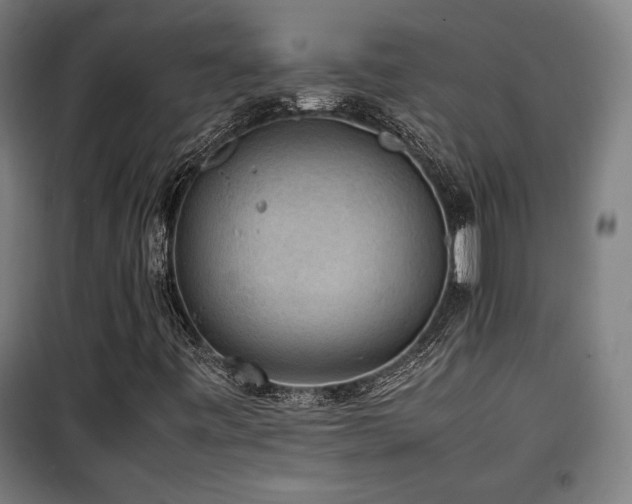 X0000100191443200805301237
