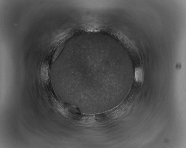 X0000100191444200805301237