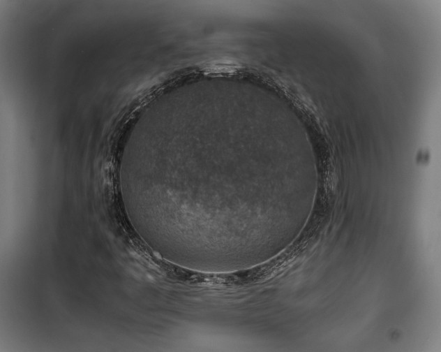 X0000100191445200805301237