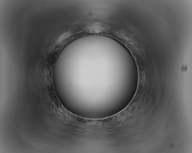 X0000100191446200805301237