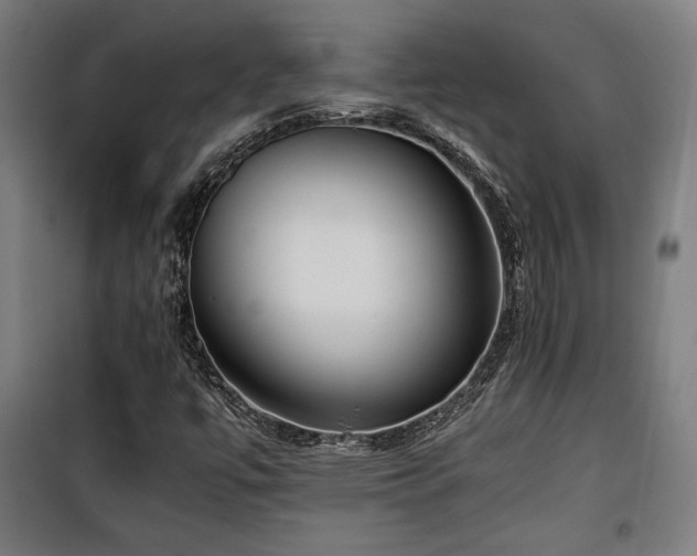 X0000100191447200805301237