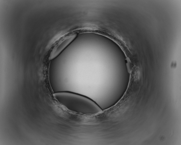X0000100191448200805301237