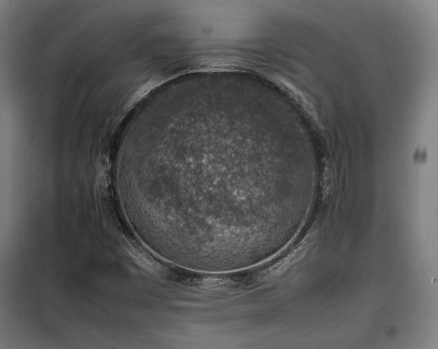 X0000100191449200805301237