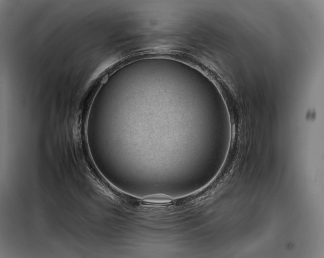 X0000100191450200805301237