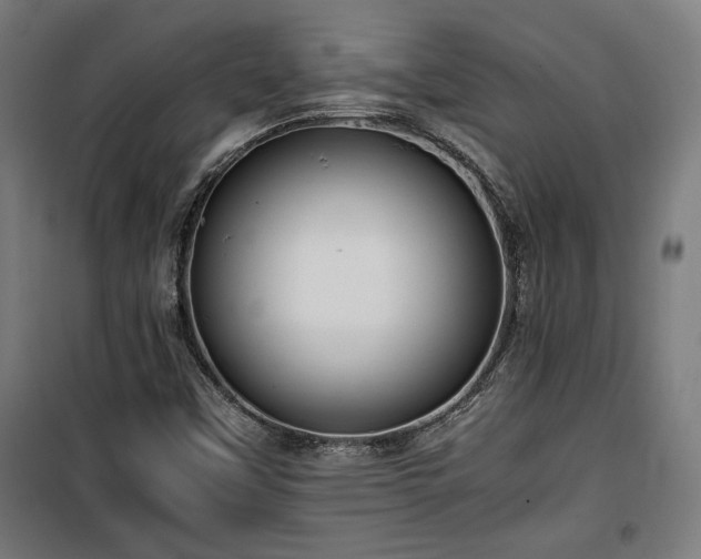 X0000100191451200805301237