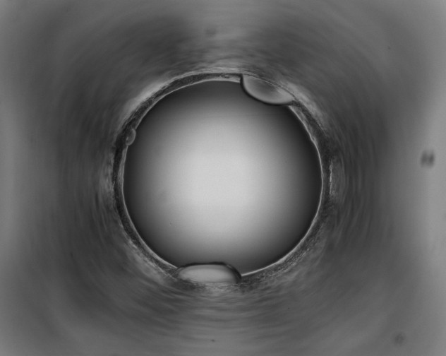 X0000100191452200805301237