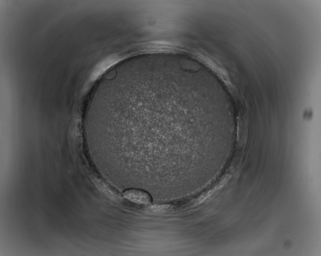 X0000100191453200805301237