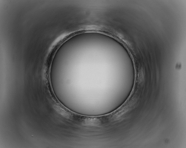 X0000100191454200805301237