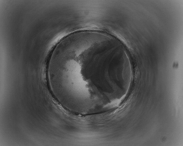 X0000100191455200805301237