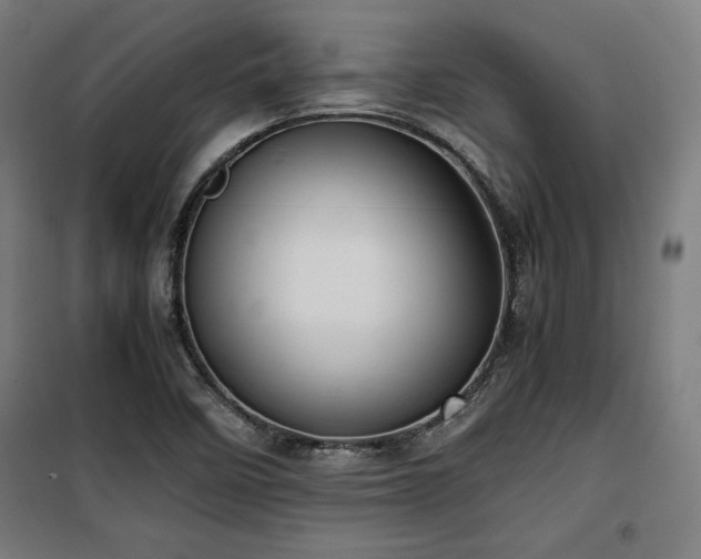 X0000100191458200805301237