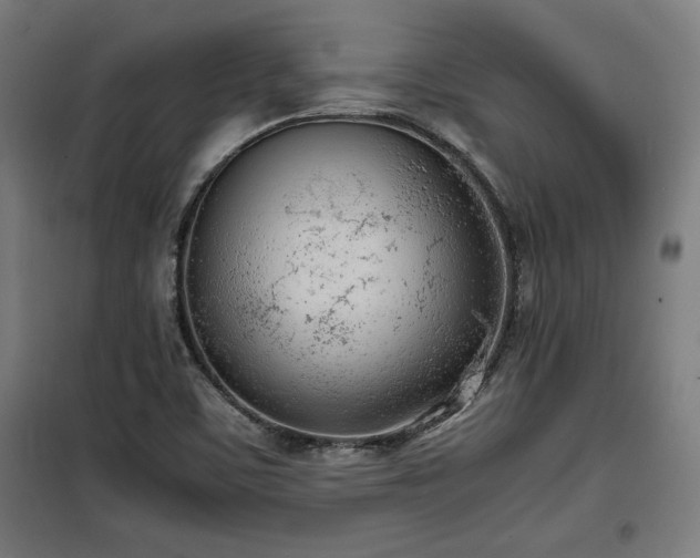 X0000100191459200805301237