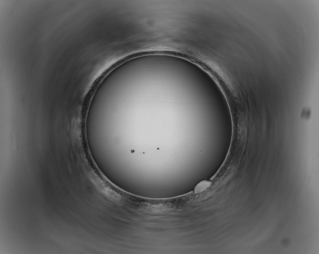 X0000100191460200805301237