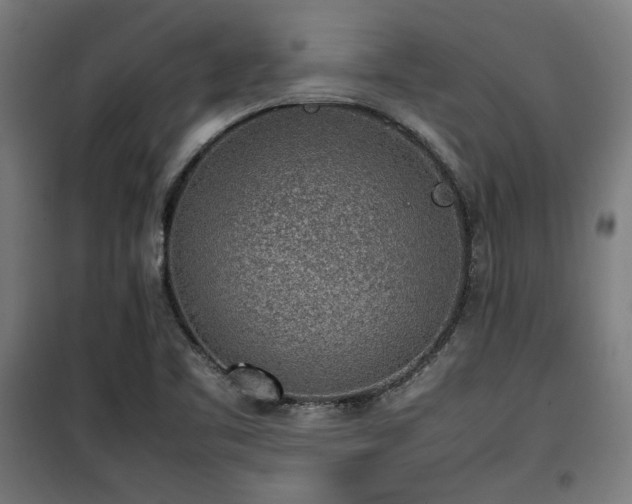 X0000100191461200805301237