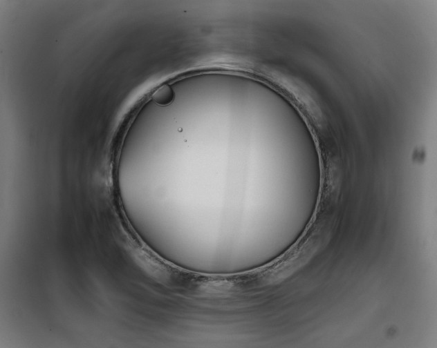 X0000100191462200805301237