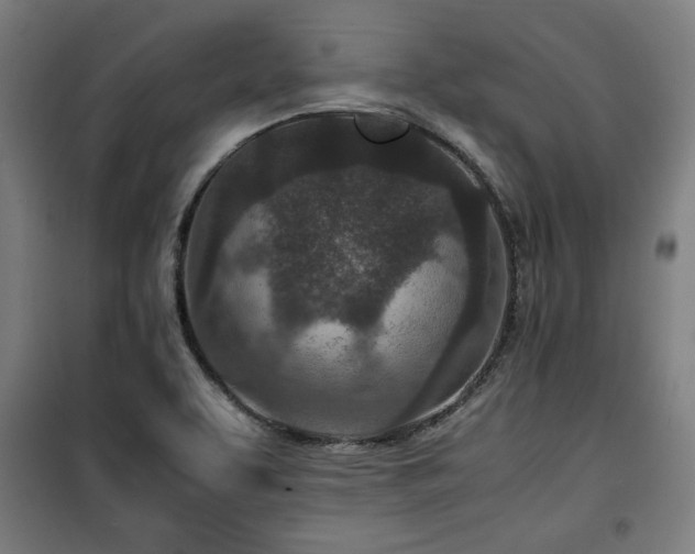 X0000100191463200805301237